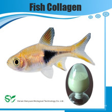 Hochwertige Fischhaut Kollagen &amp; Fisch Kollagen Pulver 99%
